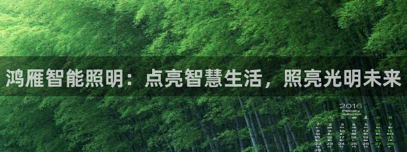 云顶国际旅行社官网