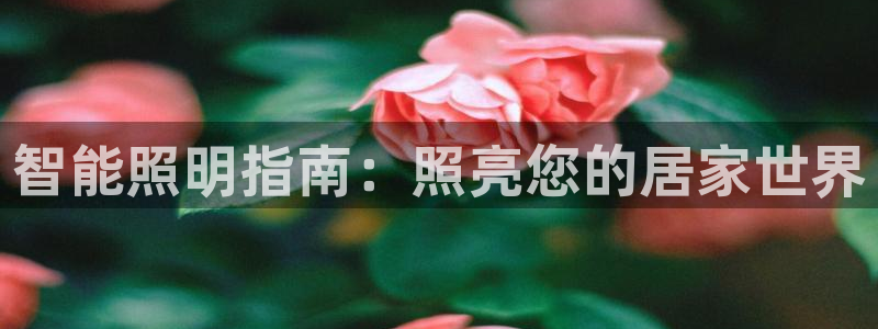 云顶国际app官方