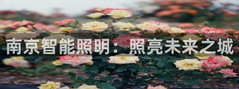 云顶集团3118app功能