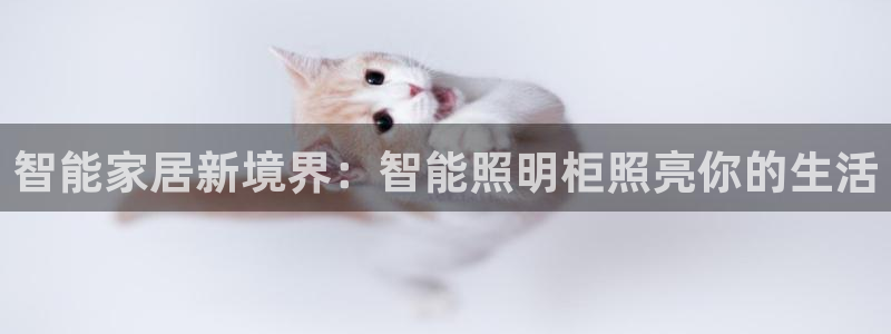 云顶集团3118app功能