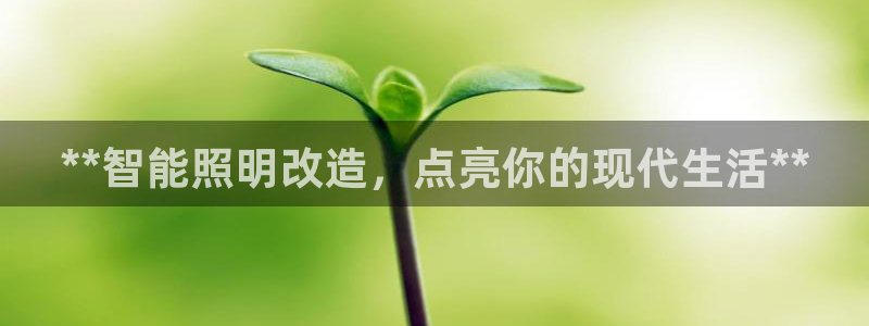 云顶集团老总子女