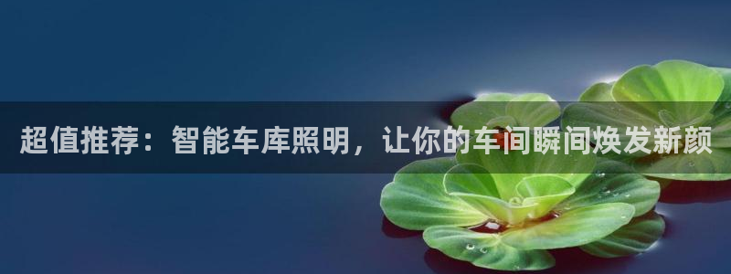 云顶国际app官方网站下载