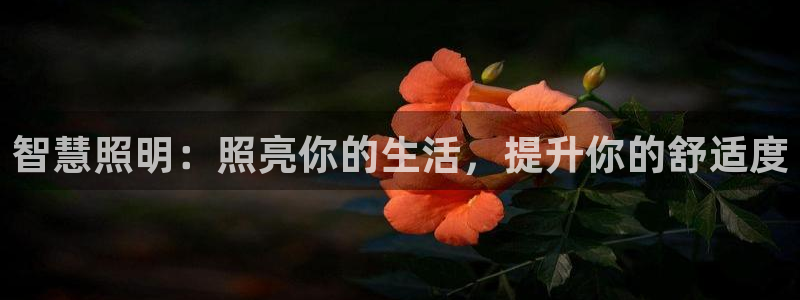 云顶集团有限公司简介地址