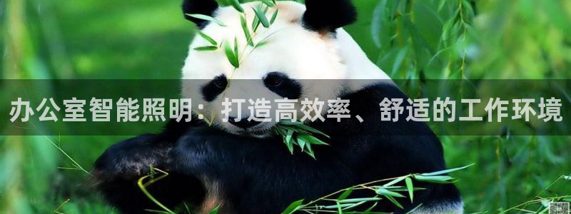 云顶电竞下载