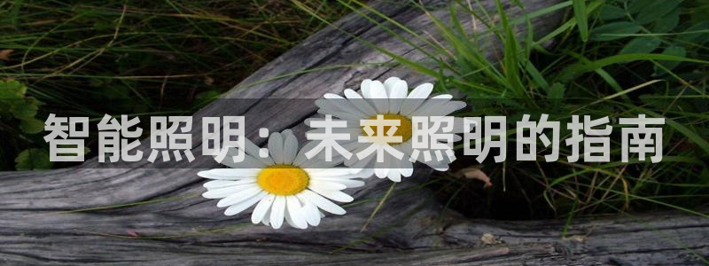 云顶国际服服务端错误