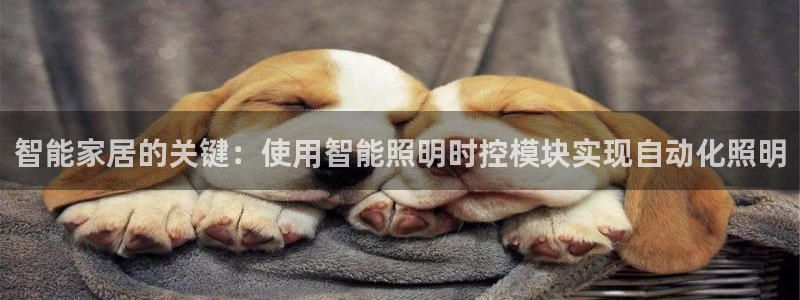 云顶国际服更新s9