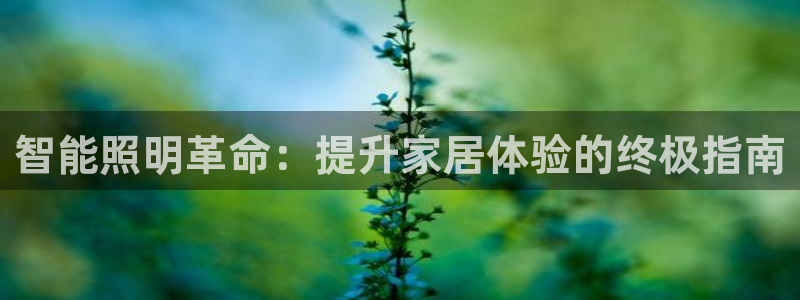 云顶国际装饰设计 宁波