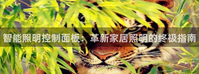 云顶国际