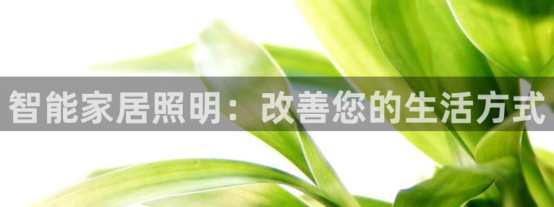云顶dj