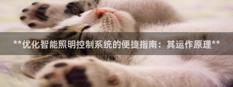 云顶集团总部在哪里