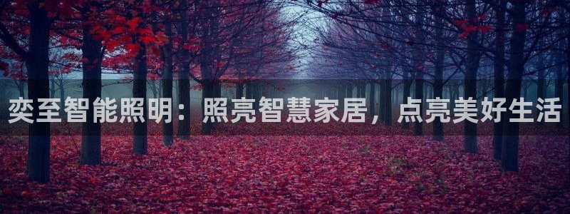 云顶国际账号怎么登录不了了