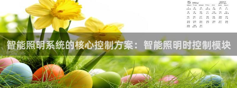 云顶电子游戏平台