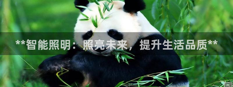 云顶国际商业广场a座101楼