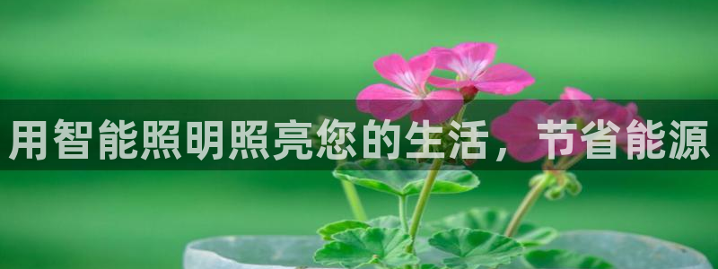 云顶国际酒店老板叫什么