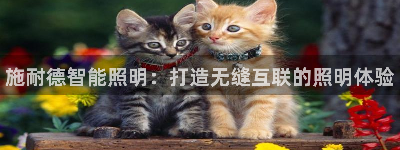 云顶pc