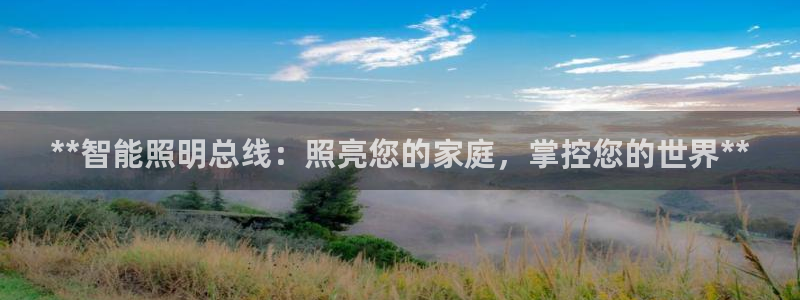 中国云顶控股集团