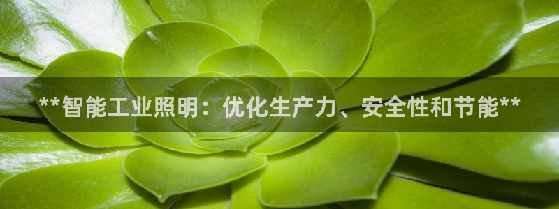 云顶国际广场A座