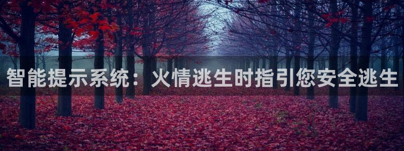 云顶国际区块链怎么样啊