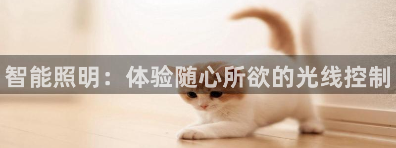 上海云顶国际会所有什么服务