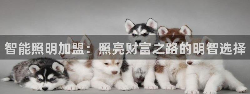 云顶国际俱乐部是干嘛的
