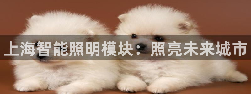 云顶国际网页版登录