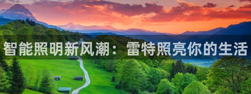 云顶国际服没有改名卡