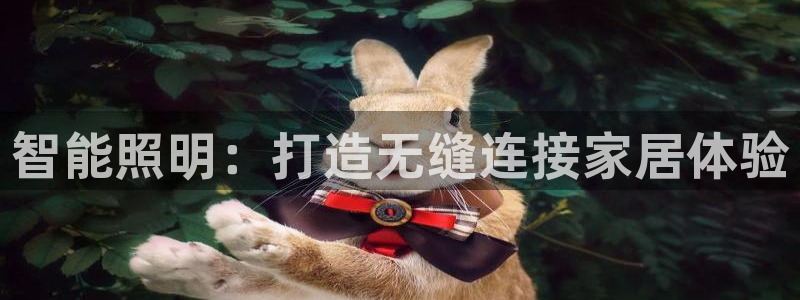 云顶国际黑款