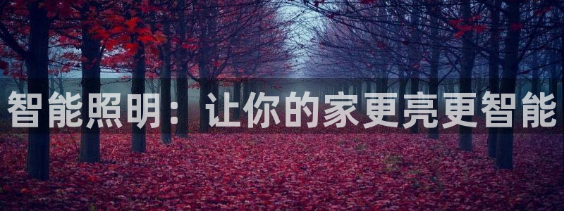 淮北云顶国际一次多少钱