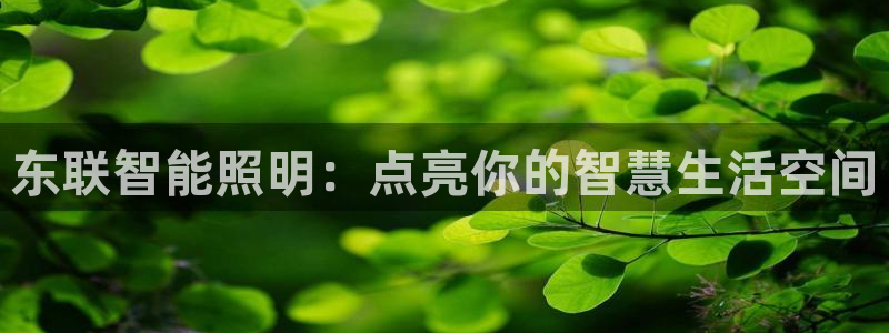云顶国际官网