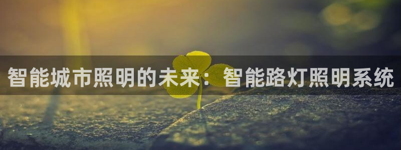 云顶国际是做什么的