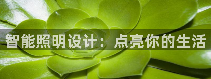 云顶国际公馆二手房