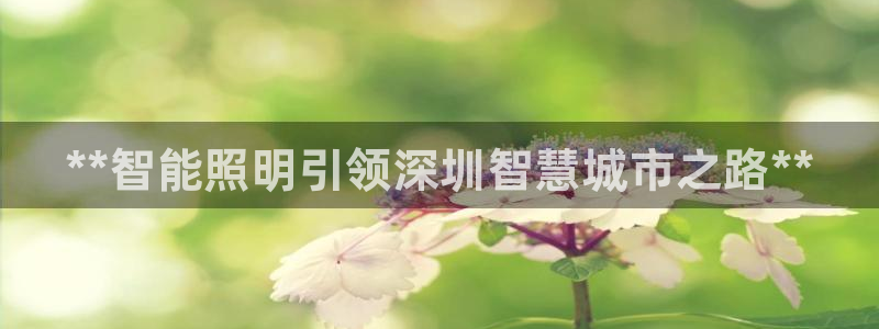 云顶电竞下载