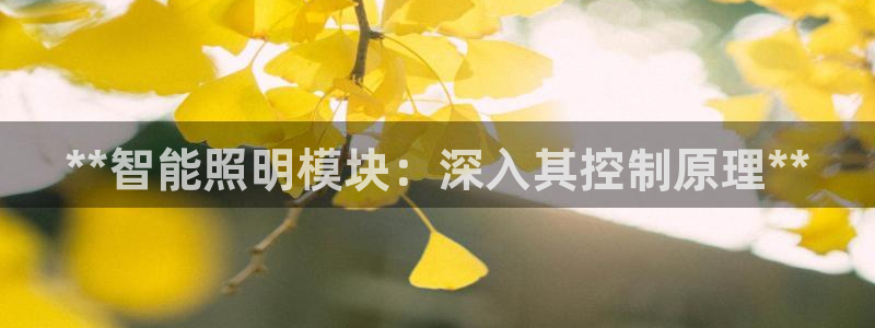 云顶国际商业广场可以充电动车吗