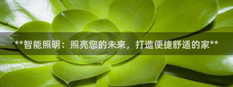 云顶集团网投