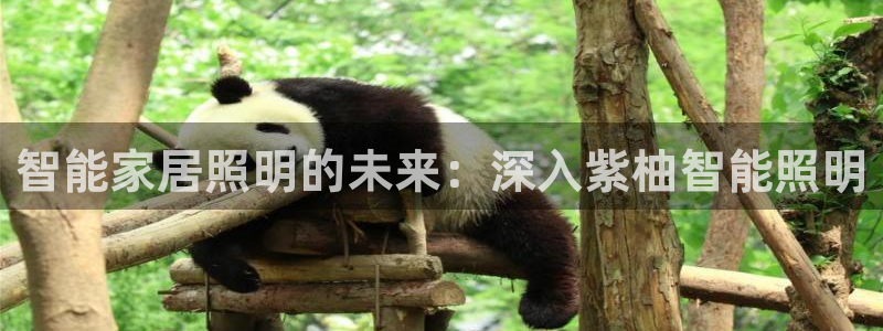 云顶国际取款多久到账