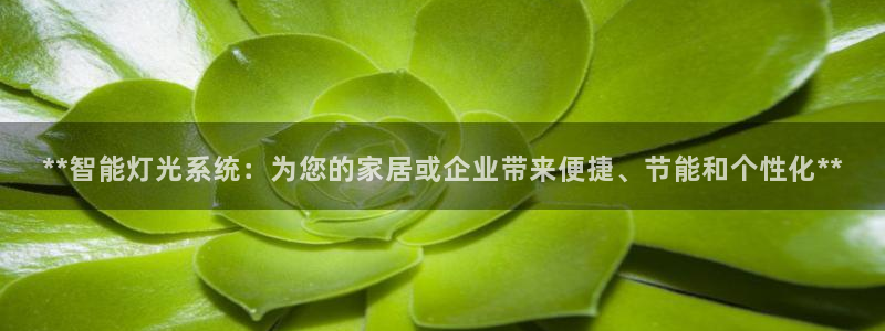 云顶国际app官方下载安装手机版
