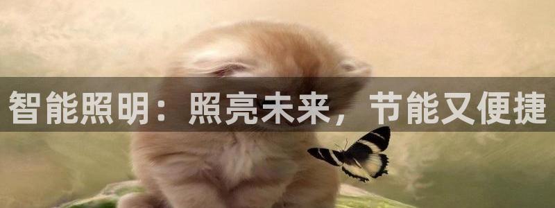云顶国际宴会中心怎么样