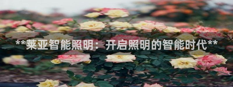 云顶国际大酒店位于哪个街道