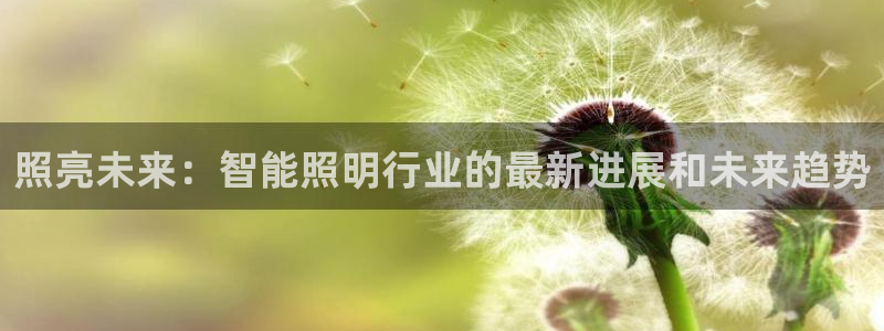 40081122云顶