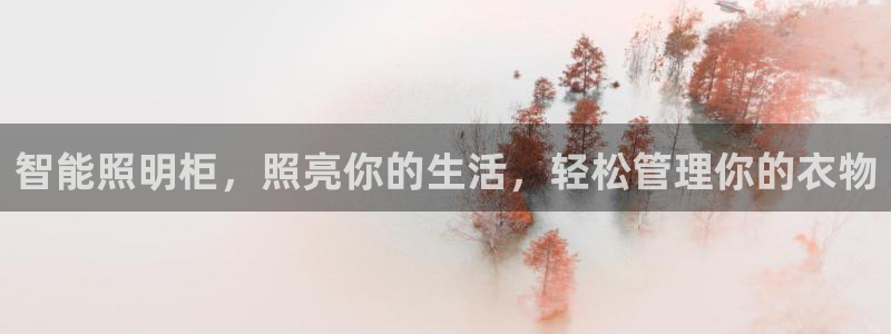 云顶国际酒店几星