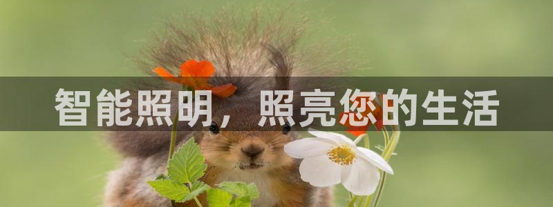 云顶国际pg网站