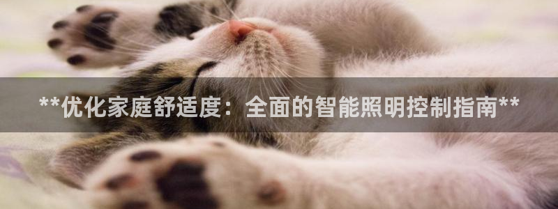 云顶国际培训中心地址