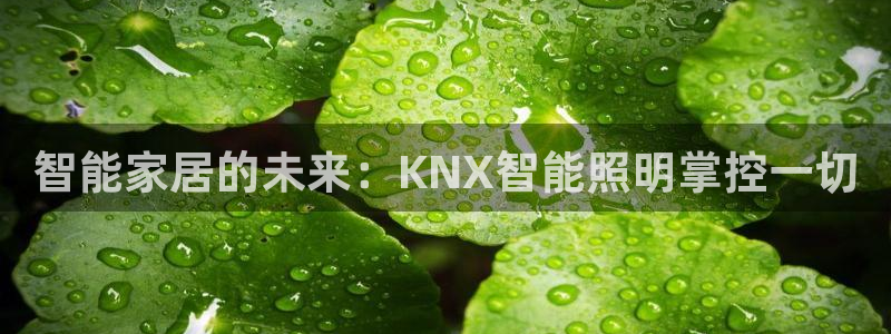 云顶国际服S9什么时候更新