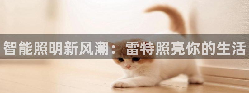 云顶集团app安卓版下载安装