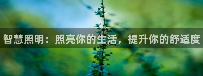 云顶集团公司 英文