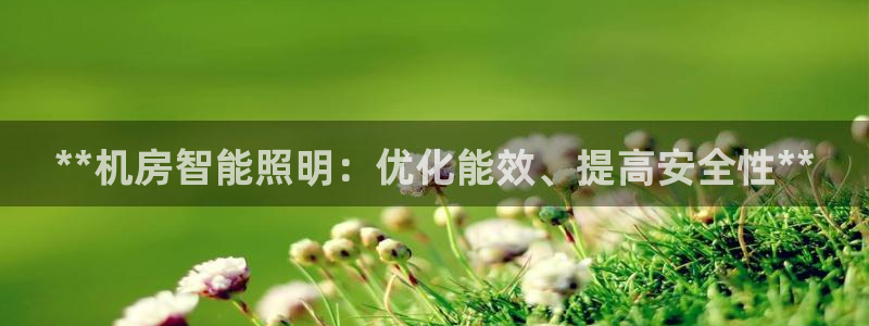 云顶国际集团游戏官网
