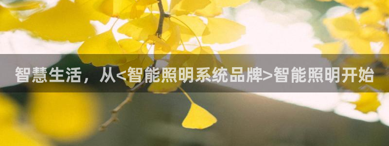 云顶国际创始人是谁