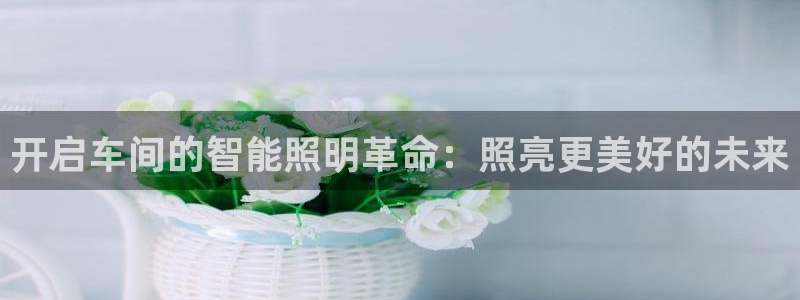 云顶国际二手房出售