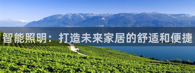 云顶国际比赛
