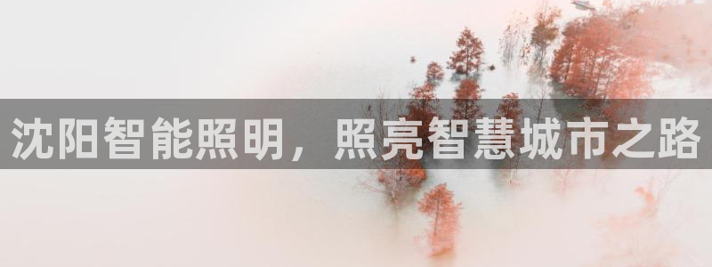 云顶国际平台是黑平台吗还是白平
